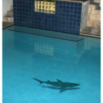 Contemporary Pools, Inc.